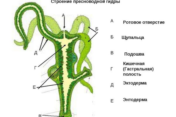 Что продают в кракен маркете